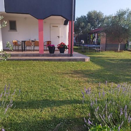 Marijan Daire Pula Oda fotoğraf